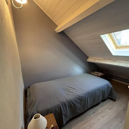 Apartamento Duplex à Cauterets, Proche Commerces Et Téléphérique - Fr-1-812-82 Cauterets